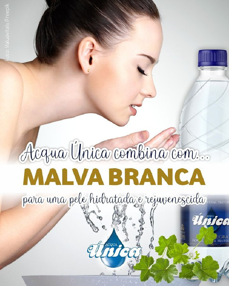 Infusão de malva branca